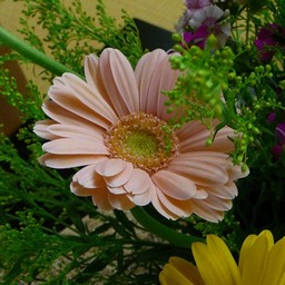 生け花