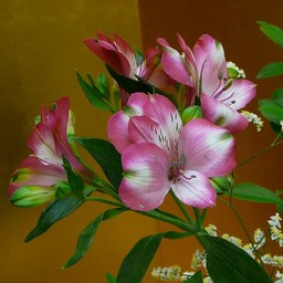 生け花