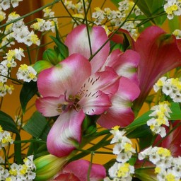 生け花