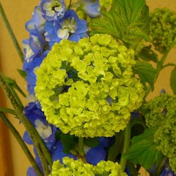 生け花