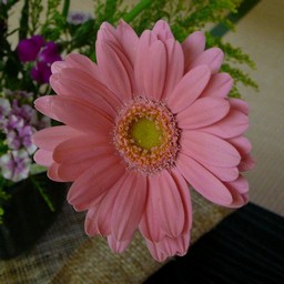 生け花