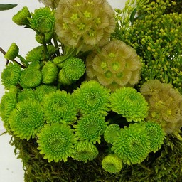 生け花