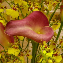 生け花