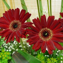 生け花