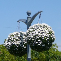飾り花