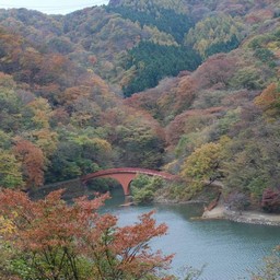紅葉