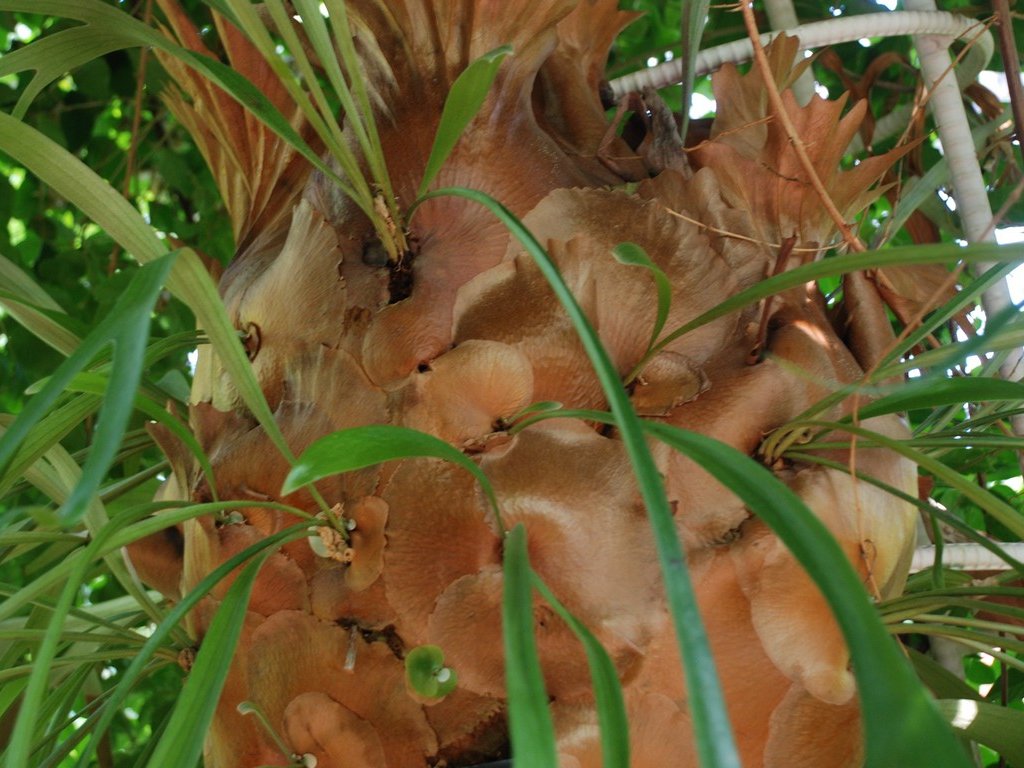 tssEAErJNV_ - ԁi10Bej - ʐ^f - ݃{