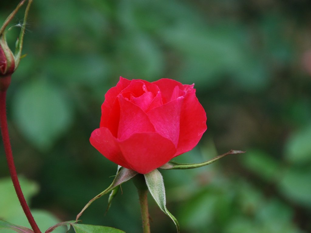 tssEssAEo - ԁi11Bej - ʐ^f - ݃{