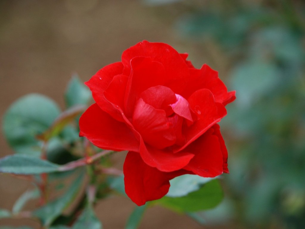 tssEssAEo - ԁi11Bej - ʐ^f - ݃{
