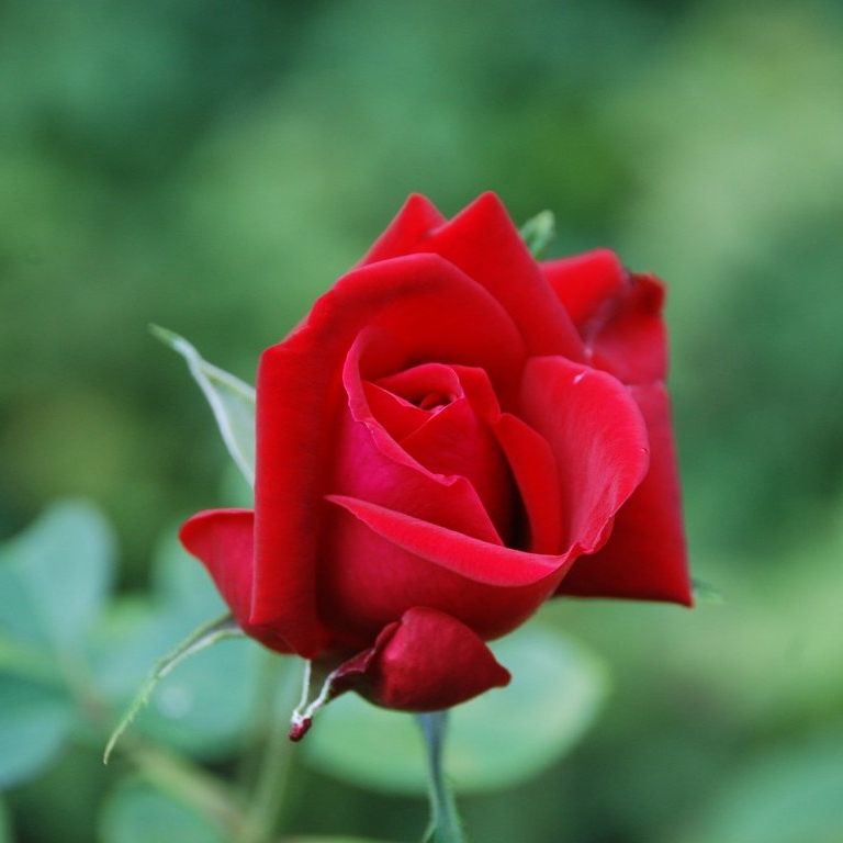 tssEAEo - ԁi10Bej - ʐ^f - ݃{