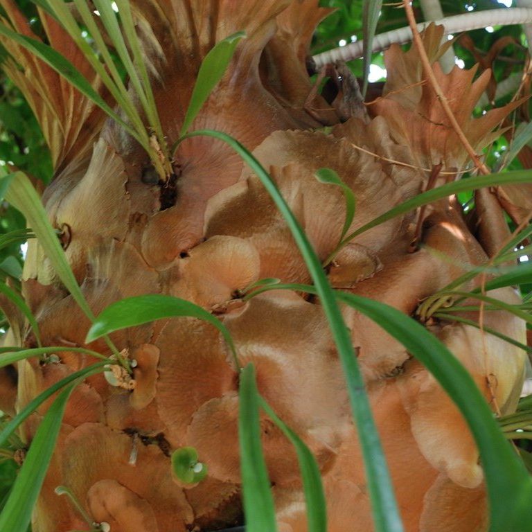 tssEAErJNV_ - ԁi10Bej - ʐ^f - ݃{