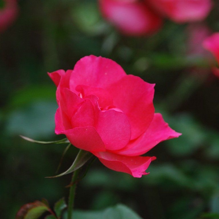 tssEssAEo - ԁi11Bej - ʐ^f - ݃{