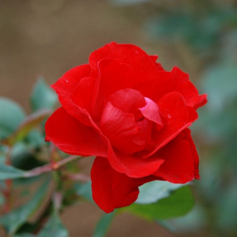 tssEssAEo - ԁi11Bej - ʐ^f - ݃{