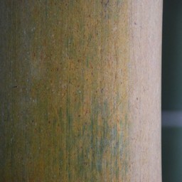 竹林