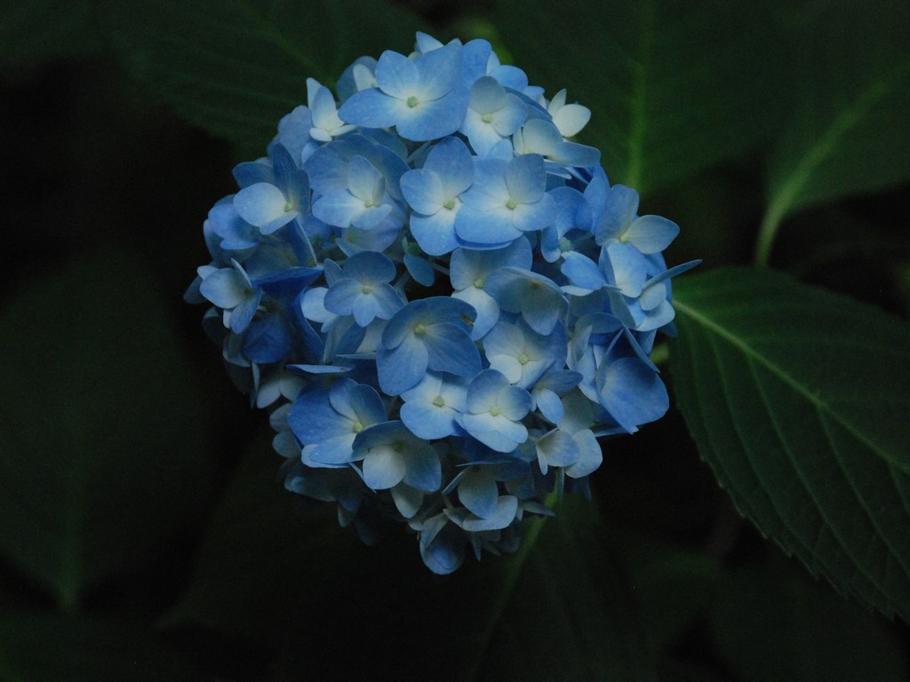 ʌssEAWTC - ԁi6Bej - ʐ^f - ݃{