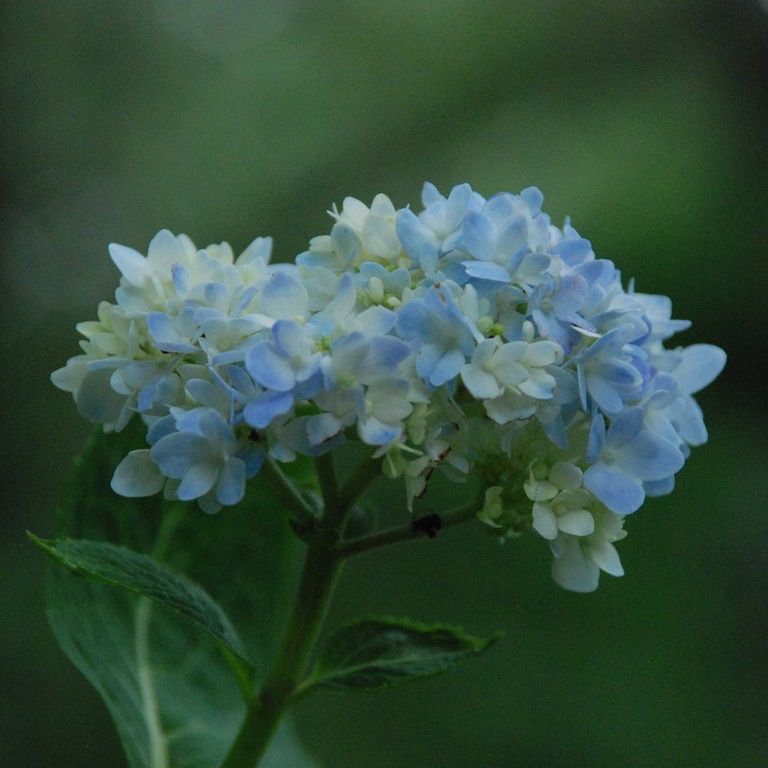 ʌssEAWTC - ԁi8Bej - ʐ^f - ݃{