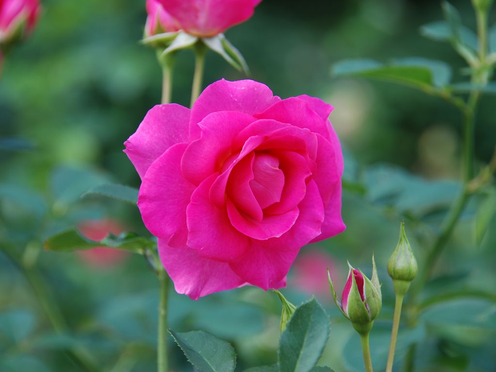 tssEAEoEo - ԁi10Bej - ʐ^f - ݃{