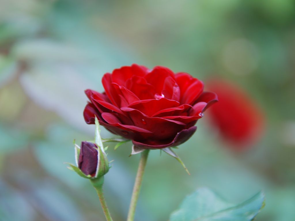 tssEAEoEo - ԁi10Bej - ʐ^f - ݃{