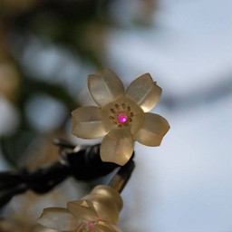 東京・浅草・花やしき