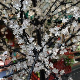 東京・浅草・花やしき