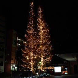 越谷市 コミセン