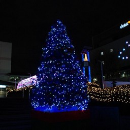 越谷市サンシティ
