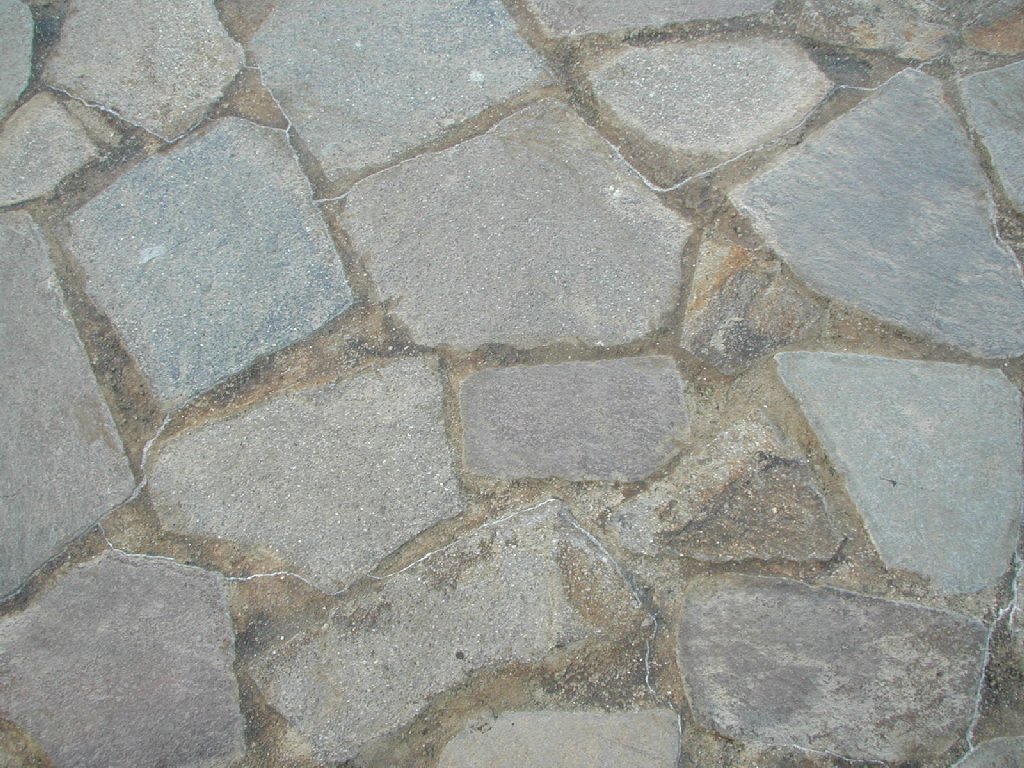 tYsEfBYj[ - HʁEǖ - ʐ^f - ݃{