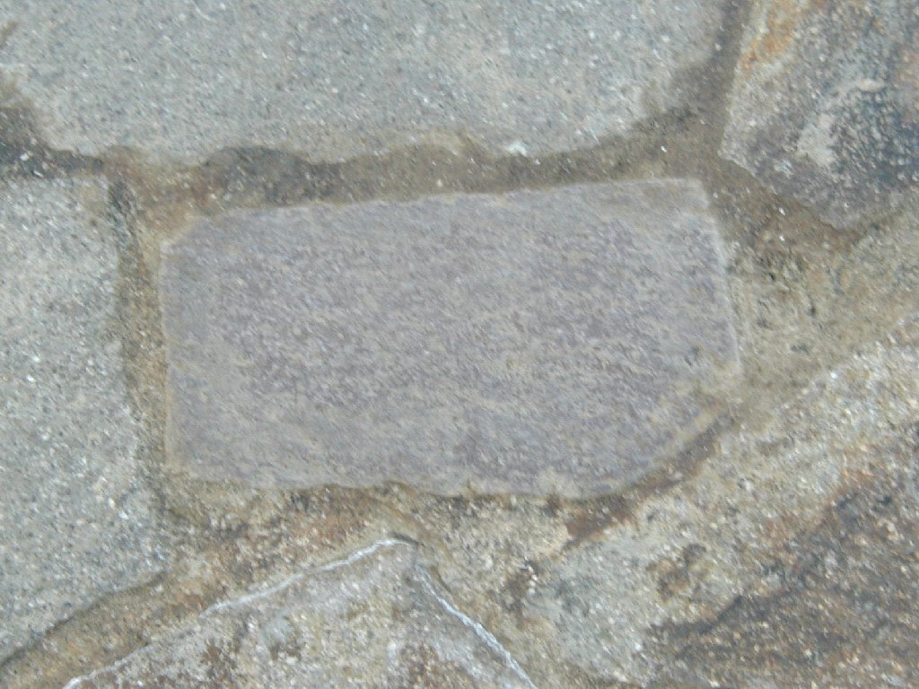 tYsEfBYj[ - HʁEǖ - ʐ^f - ݃{