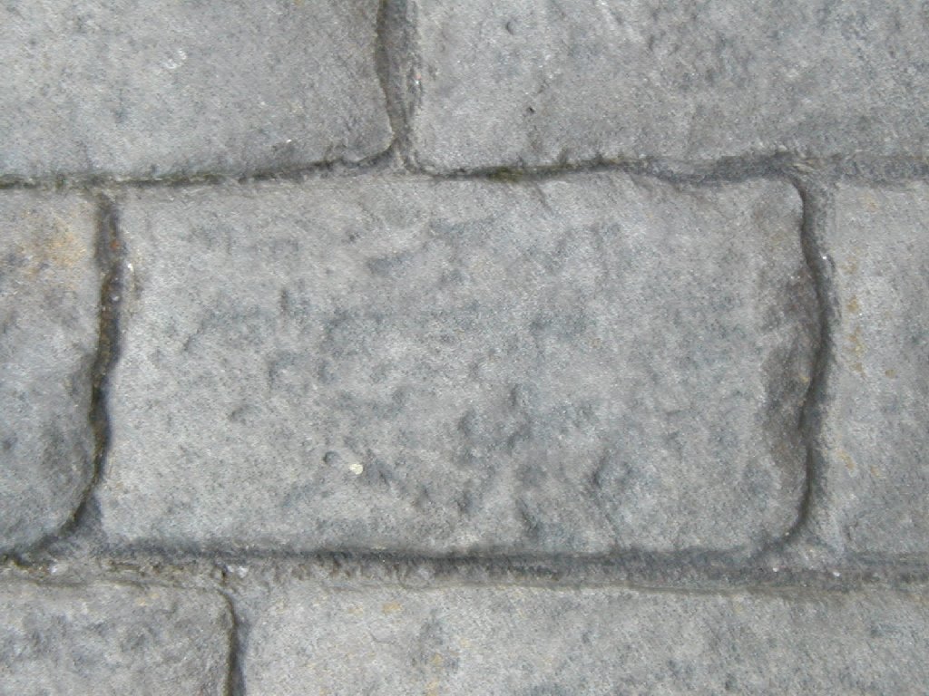 tYsEfBYj[ - HʁEǖ - ʐ^f - ݃{