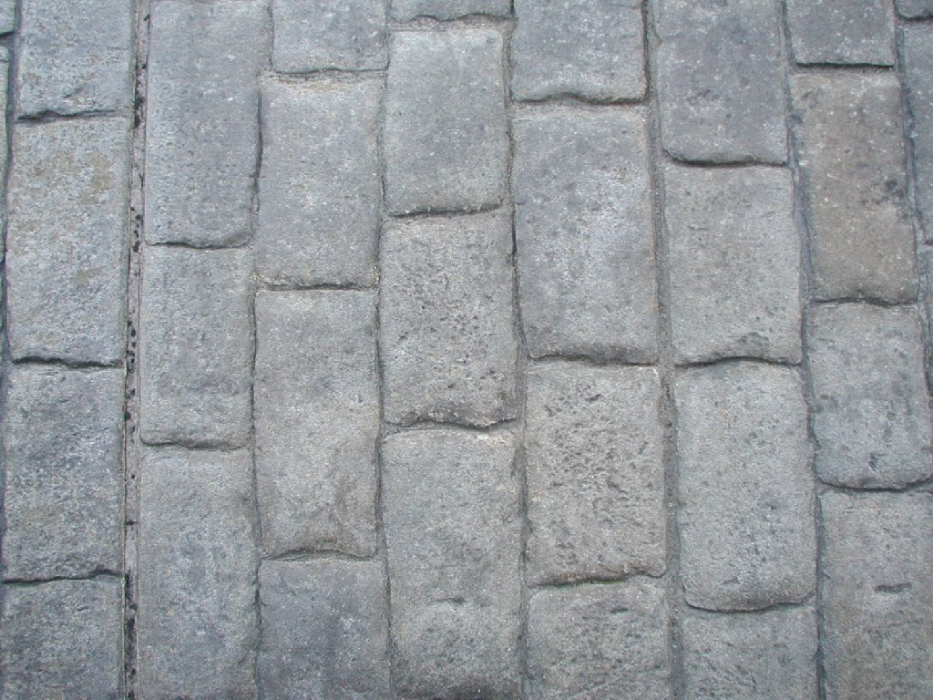 tYsEfBYj[ - HʁEǖ - ʐ^f - ݃{