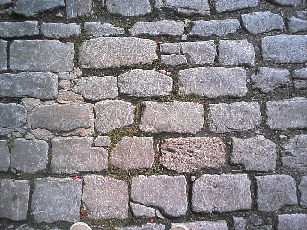 hCcEΏ - HʁEǖ - ʐ^f - ݃{