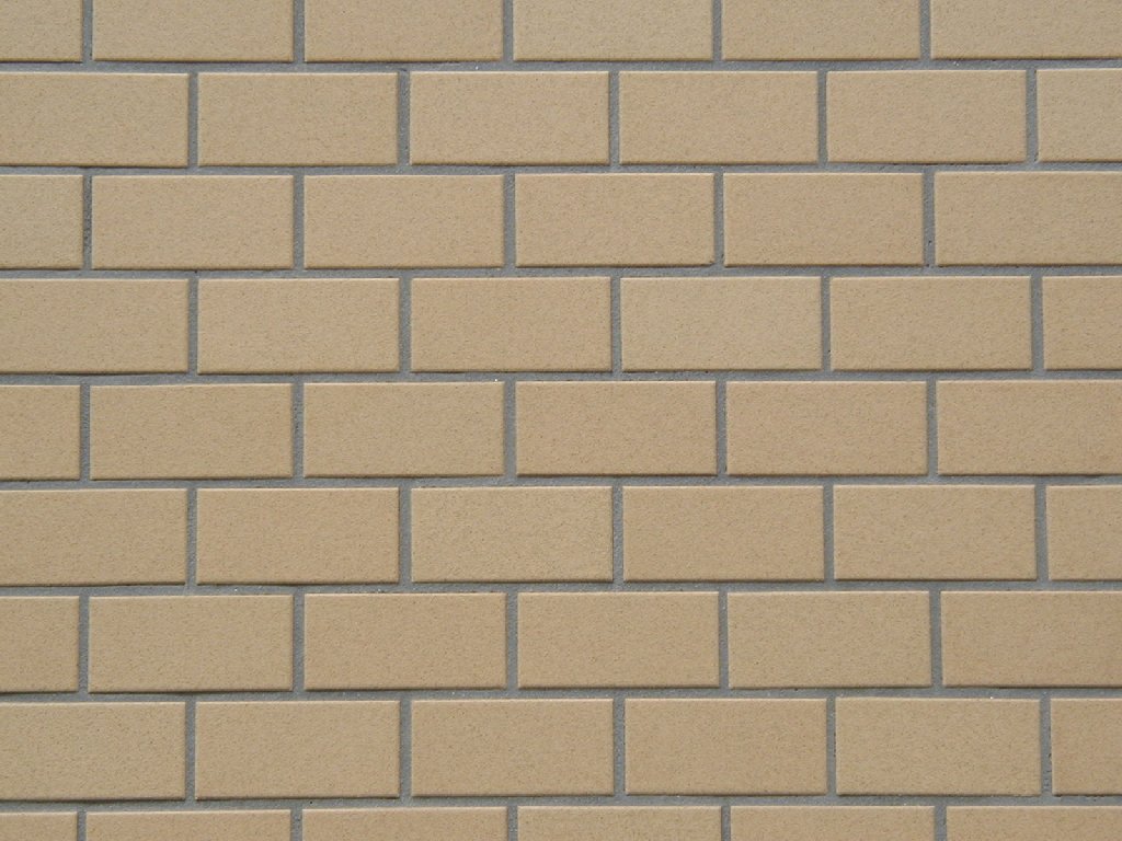 ʌzJsEO - HʁEǖ - ʐ^f - ݃{
