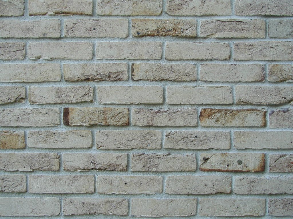 ʌzJs - HʁEǖ - ʐ^f - ݃{