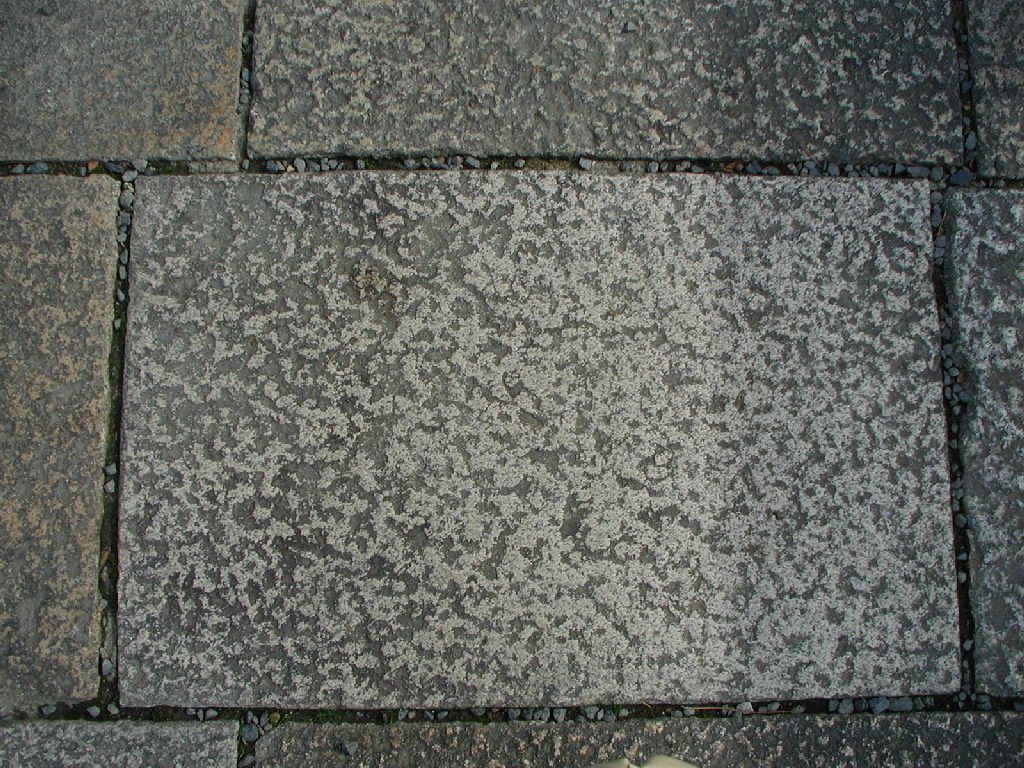 Rq~s - HʁEǖ - ʐ^f - ݃{