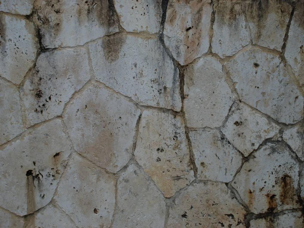 ꌧsECRiߕ - HʁEǖ - ʐ^f - ݃{