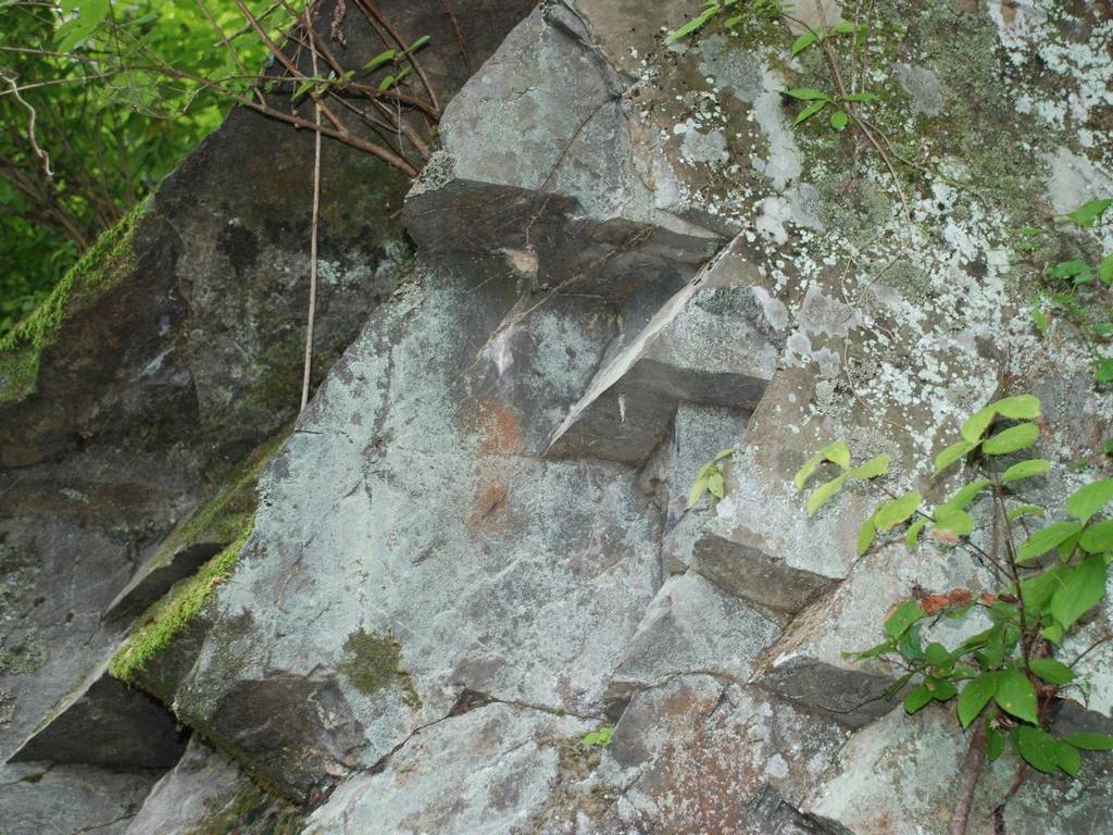 s - HʁEǖ - ʐ^f - ݃{