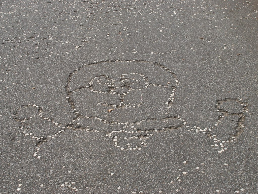 RRsEwnCLO - HʁEǖ - ʐ^f - ݃{