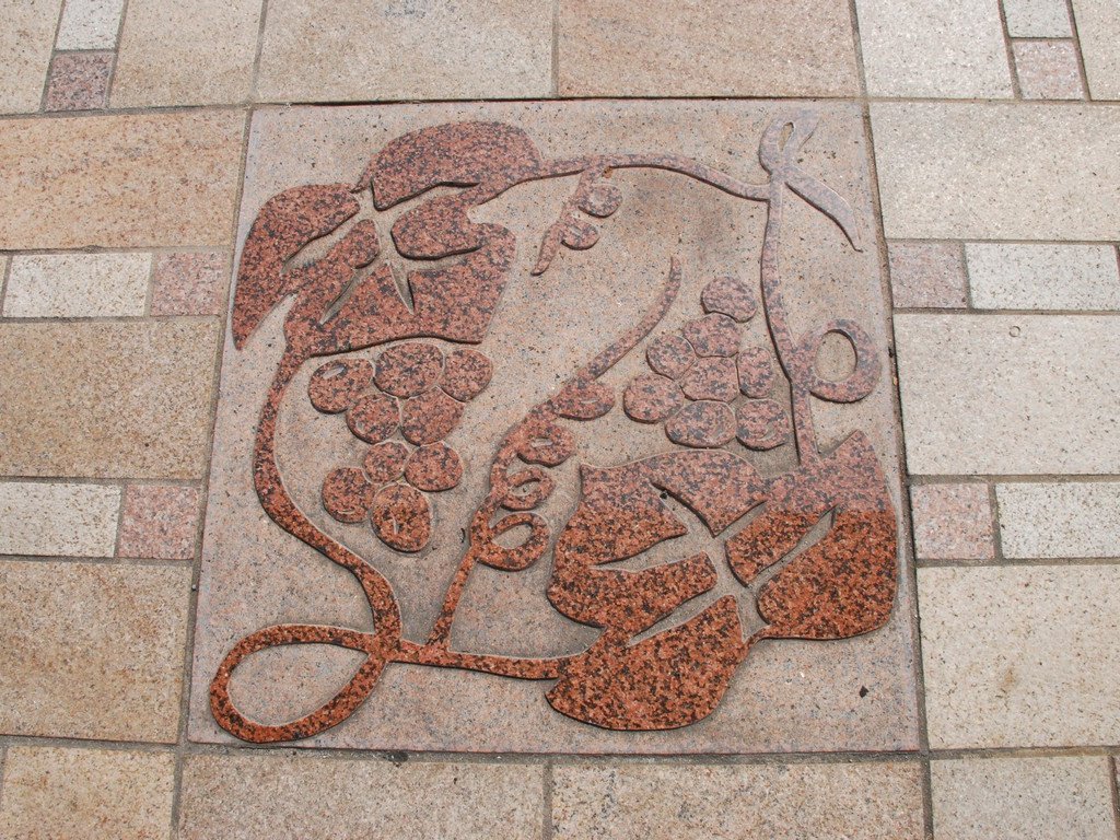 RRsEwnCLO - HʁEǖ - ʐ^f - ݃{