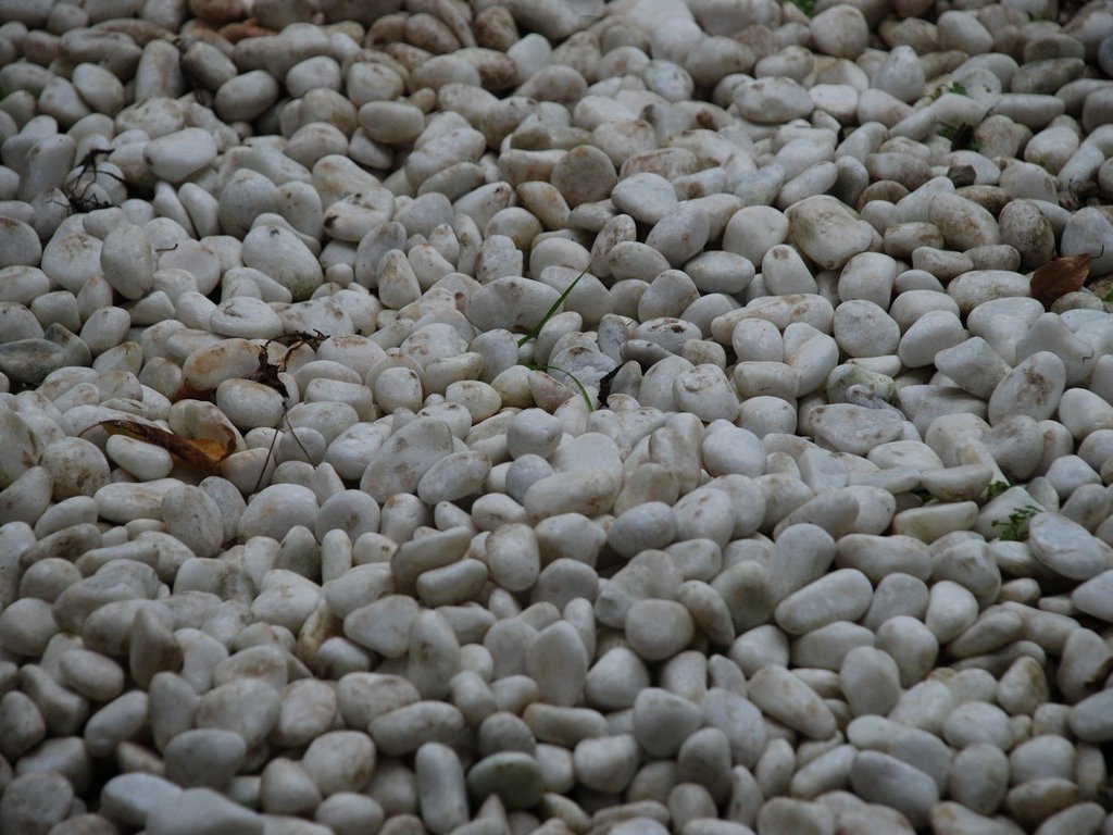 Rb{sEP - HʁEǖ - ʐ^f - ݃{