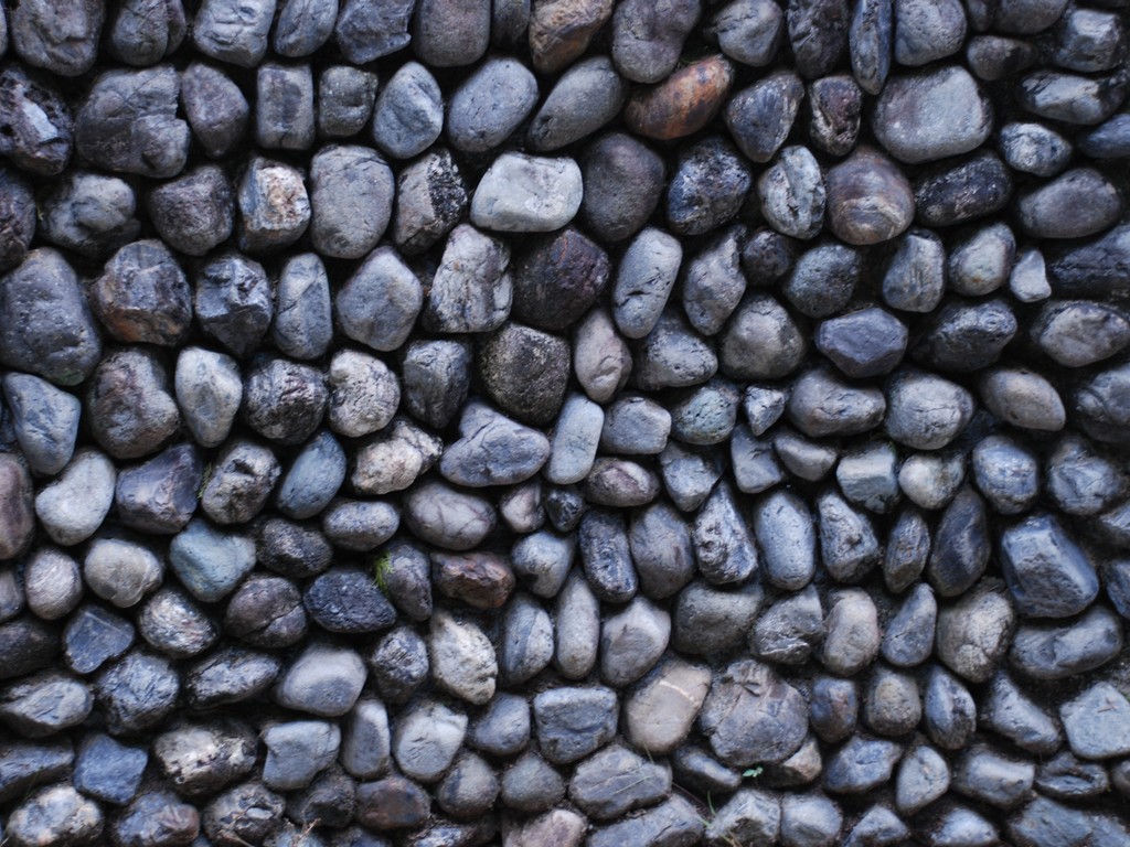 ssEaLO - HʁEǖ - ʐ^f - ݃{
