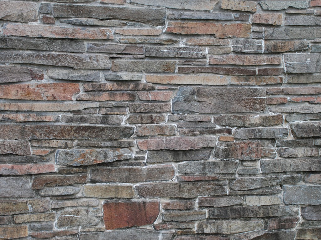 ssEaLO - HʁEǖ - ʐ^f - ݃{