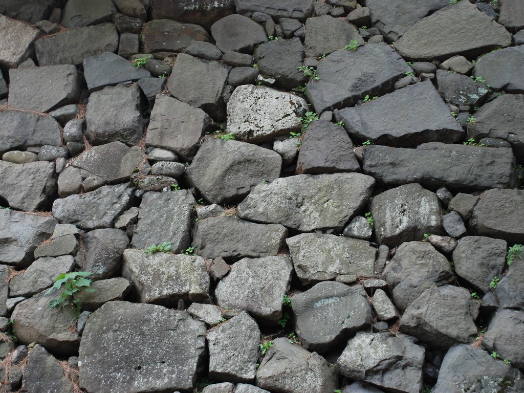 scEc - HʁEǖ - ʐ^f - ݃{