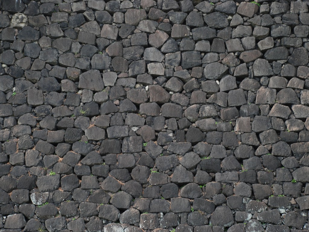 scEc - HʁEǖ - ʐ^f - ݃{