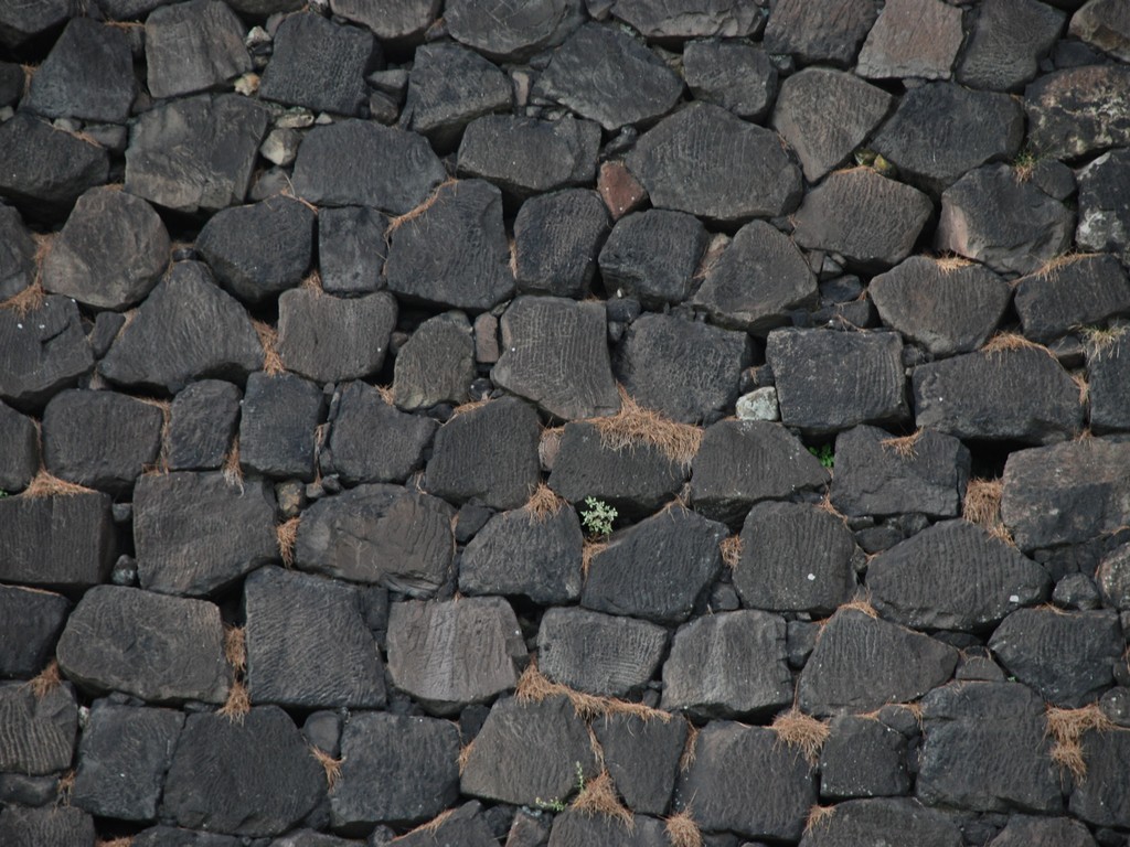 scEc - HʁEǖ - ʐ^f - ݃{