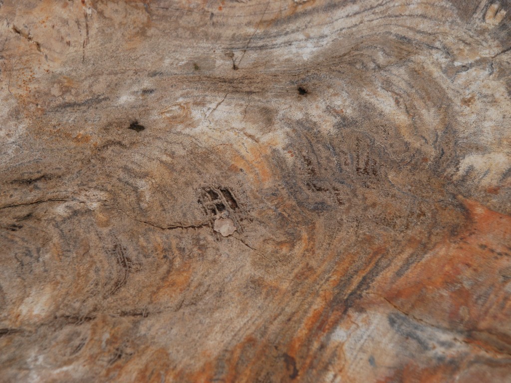 ʌs - HʁEǖ - ʐ^f - ݃{