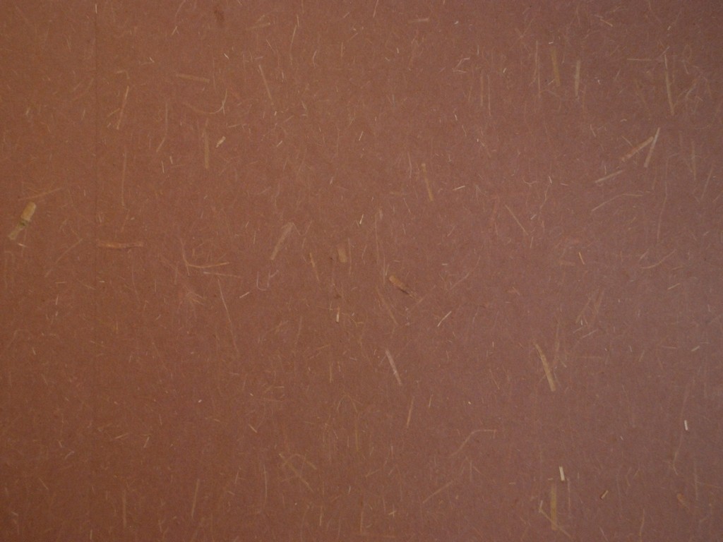 QnȌSEt - HʁEǖ - ʐ^f - ݃{