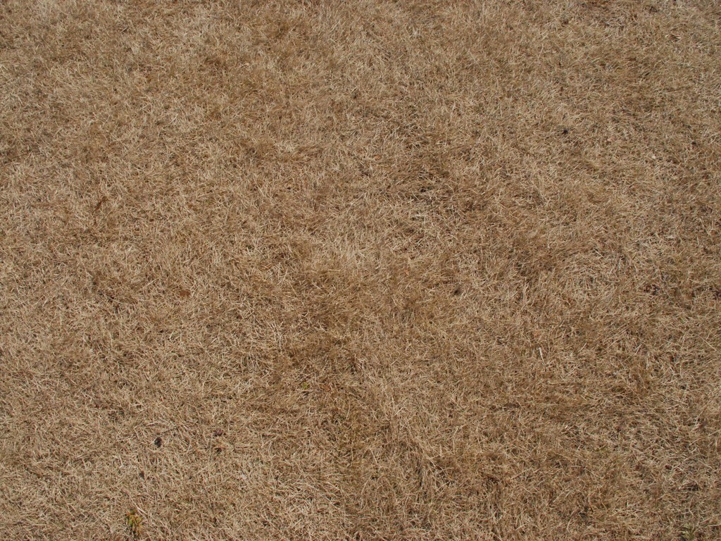 ʌssEʌԂƗ΂̐UZ^[ - HʁEǖ - ʐ^f - ݃{