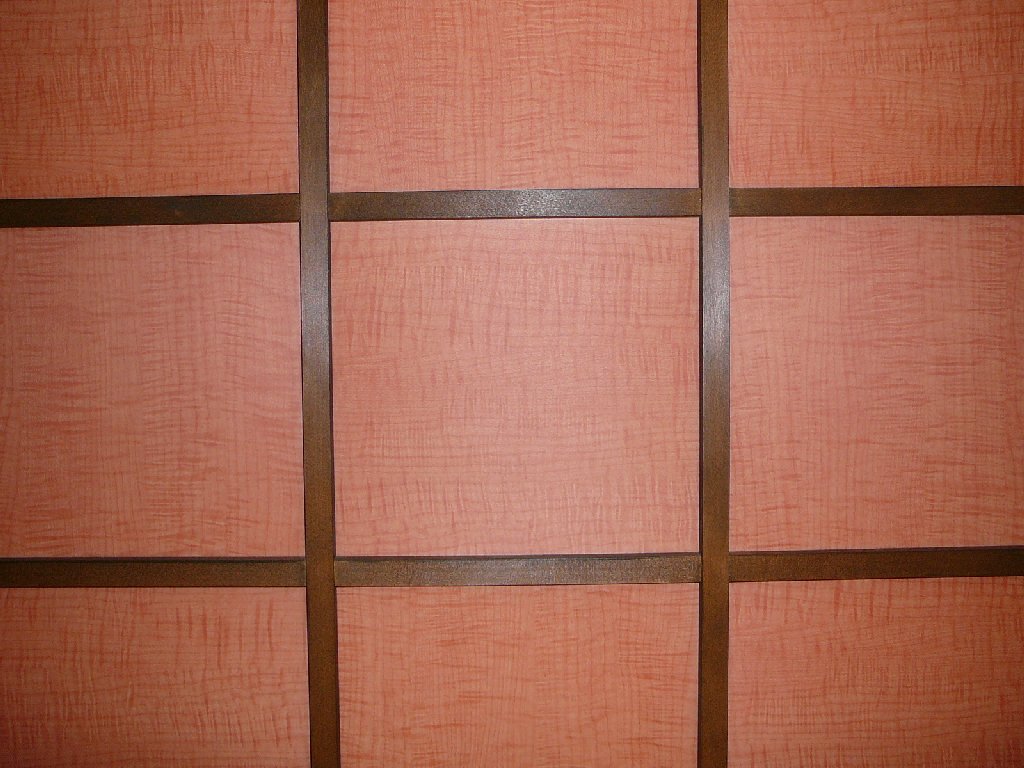ÉCPE - HʁEǖ - ʐ^f - ݃{