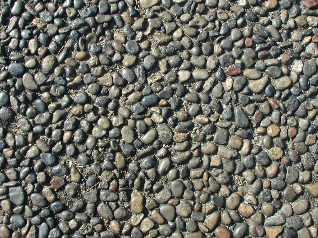 ʌ܎s - HʁEǖ - ʐ^f - ݃{