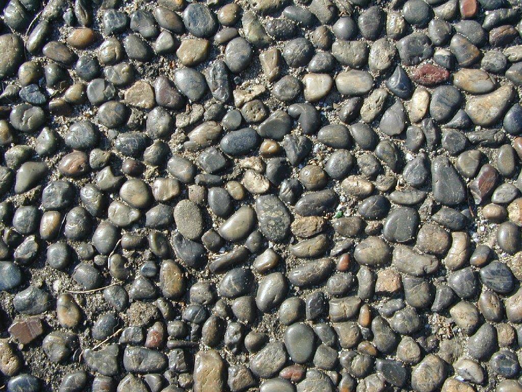ʌ܎s - HʁEǖ - ʐ^f - ݃{